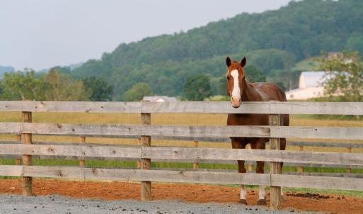 Photo #45 of 1065 MIDDLEBROOK RD, STAUNTON, VA 15.4 acres