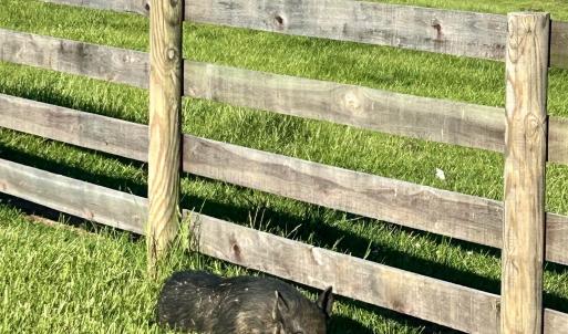 Photo #68 of 1065 MIDDLEBROOK RD, STAUNTON, VA 15.4 acres