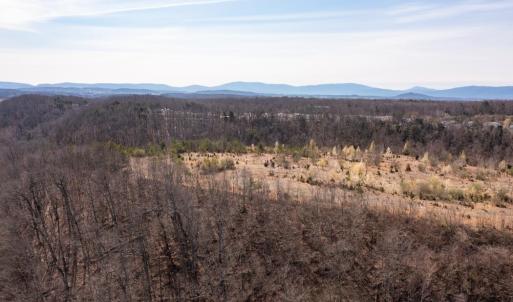 Photo #69 of TBD AUGUSTA WOODS DR, STAUNTON, VA 20.0 acres