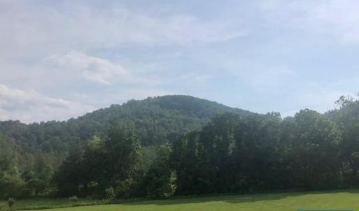 Photo #2 of OLD LYNCHBURG RD, NORTH GARDEN, VA 80.0 acres