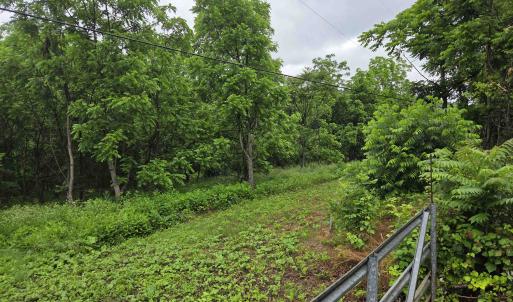 Photo #2 of 900 SANDY BOTTOM RD, ELKTON, VA 2.0 acres