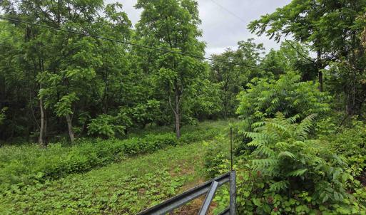 Photo #4 of 900 SANDY BOTTOM RD, ELKTON, VA 2.0 acres