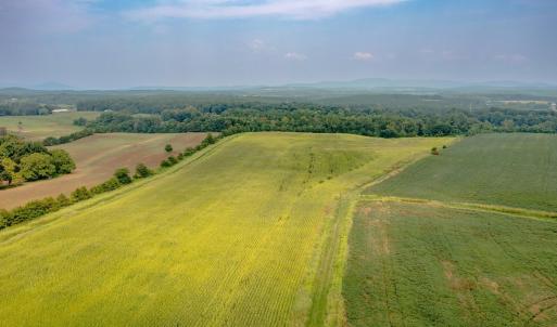 Photo #9 of TBD GREENFIELD FARM, SCOTTSVILLE, VA 258.2 acres