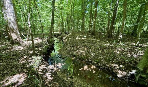 Photo #11 of WELSHMAN LN, MINERAL, VA 13.5 acres
