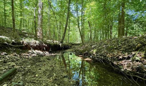Photo #10 of WELSHMAN LN, MINERAL, VA 13.5 acres