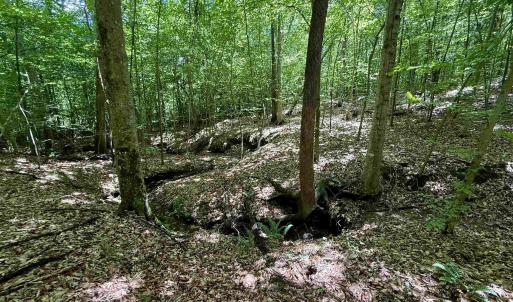Photo #12 of WELSHMAN LN, MINERAL, VA 13.5 acres