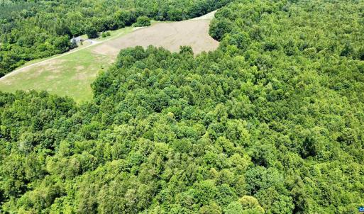 Photo #8 of WELSHMAN LN, MINERAL, VA 13.5 acres