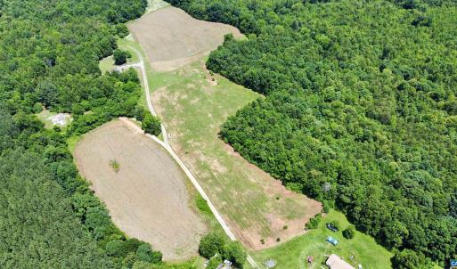 Photo #9 of WELSHMAN LN, MINERAL, VA 13.5 acres