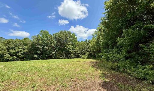 Photo #14 of WELSHMAN LN, MINERAL, VA 13.5 acres