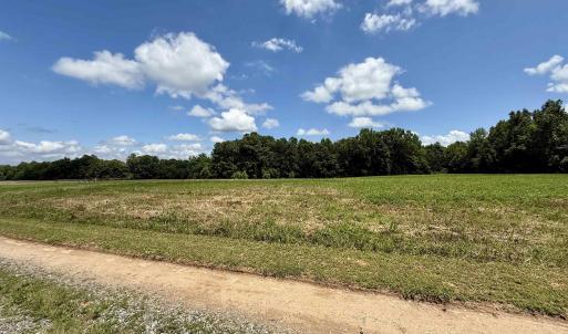 Photo #16 of WELSHMAN LN, MINERAL, VA 13.5 acres