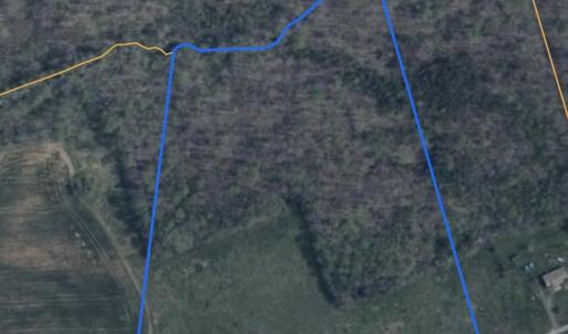 Photo #19 of WELSHMAN LN, MINERAL, VA 13.5 acres