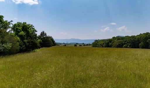 Photo #40 of SUNNYVIEW DR, RILEYVILLE, VA 40.6 acres
