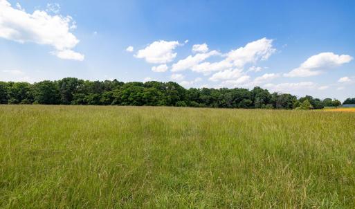 Photo #46 of SUNNYVIEW DR, RILEYVILLE, VA 40.6 acres