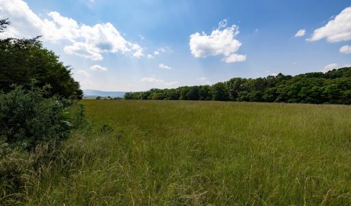 Photo #45 of SUNNYVIEW DR, RILEYVILLE, VA 40.6 acres