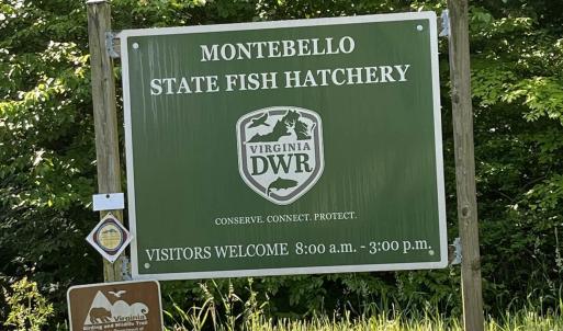 Photo #6 of TBD FISH HATCHERY LN, MONTEBELLO, VA 5.2 acres
