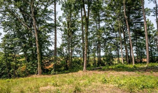 Photo #1 of PINEY WOODS RD, TIMBERVILLE, VA 15.2 acres