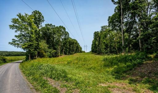 Photo #2 of PINEY WOODS RD, TIMBERVILLE, VA 15.2 acres
