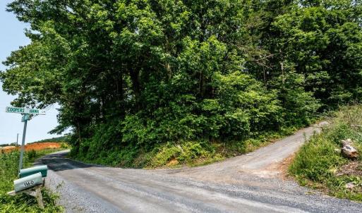 on the property line.