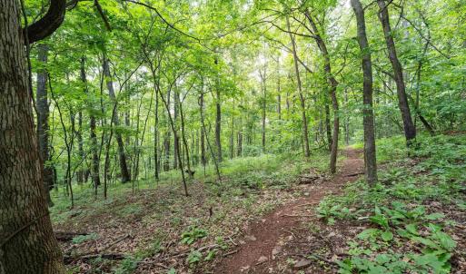 Photo #23 of HYLAND RIDGE DR, CHARLOTTESVILLE, VA 21.0 acres