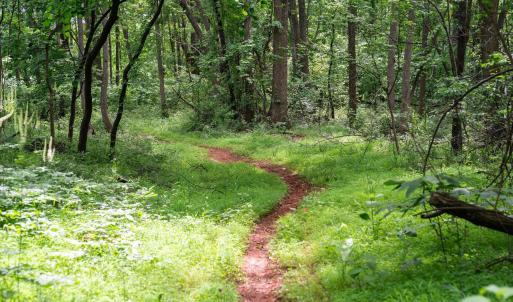 Photo #15 of HYLAND RIDGE DR, CHARLOTTESVILLE, VA 21.0 acres