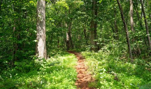 Photo #14 of HYLAND RIDGE DR, CHARLOTTESVILLE, VA 21.0 acres