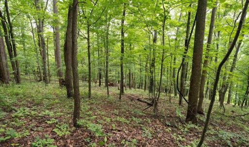 Photo #30 of HYLAND RIDGE DR, CHARLOTTESVILLE, VA 21.0 acres