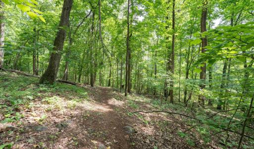 Photo #24 of HYLAND RIDGE DR, CHARLOTTESVILLE, VA 21.0 acres