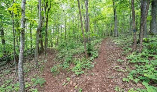 Photo #33 of HYLAND RIDGE DR, CHARLOTTESVILLE, VA 21.0 acres