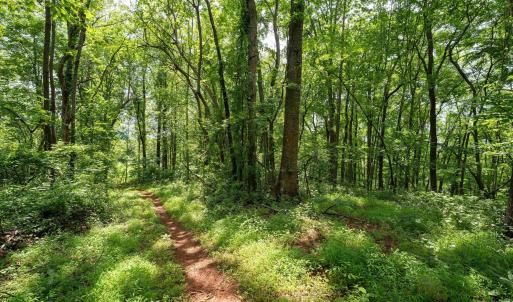 Photo #17 of HYLAND RIDGE DR, CHARLOTTESVILLE, VA 21.0 acres