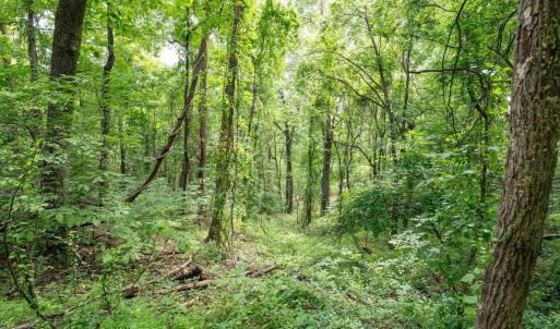 Photo #29 of HYLAND RIDGE DR, CHARLOTTESVILLE, VA 21.0 acres