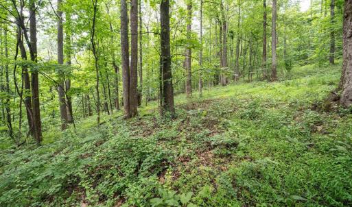 Photo #20 of HYLAND RIDGE DR, CHARLOTTESVILLE, VA 21.0 acres