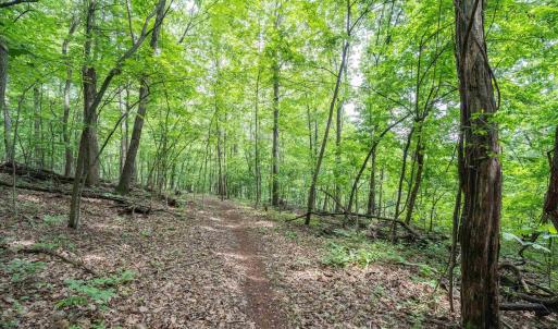 Photo #32 of HYLAND RIDGE DR, CHARLOTTESVILLE, VA 21.0 acres