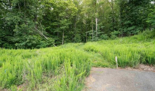 Photo #10 of HYLAND RIDGE DR, CHARLOTTESVILLE, VA 21.0 acres