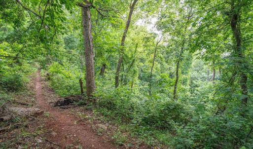 Photo #27 of HYLAND RIDGE DR, CHARLOTTESVILLE, VA 21.0 acres
