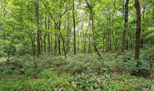 Photo #21 of HYLAND RIDGE DR, CHARLOTTESVILLE, VA 21.0 acres