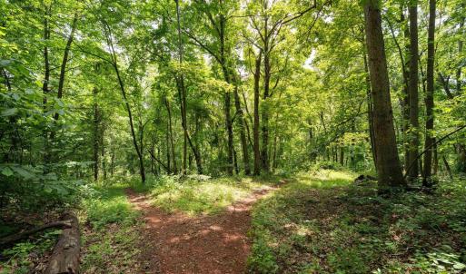 Photo #22 of HYLAND RIDGE DR, CHARLOTTESVILLE, VA 21.0 acres
