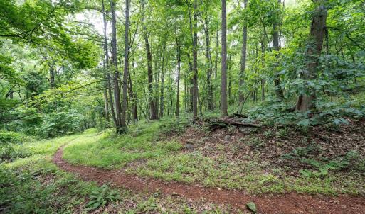 Photo #19 of HYLAND RIDGE DR, CHARLOTTESVILLE, VA 21.0 acres