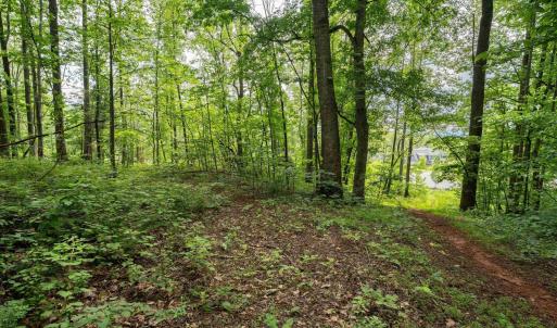 Photo #12 of HYLAND RIDGE DR, CHARLOTTESVILLE, VA 21.0 acres