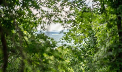 Photo #28 of HYLAND RIDGE DR, CHARLOTTESVILLE, VA 21.0 acres