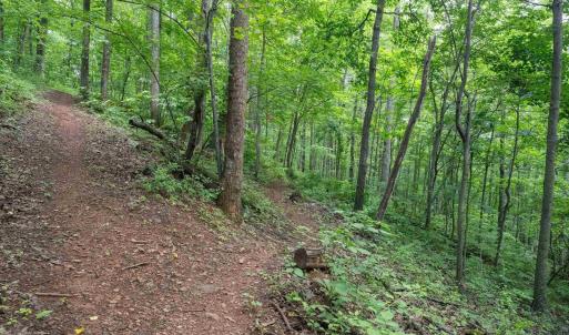 Photo #26 of HYLAND RIDGE DR, CHARLOTTESVILLE, VA 21.0 acres