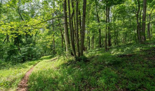 Photo #18 of HYLAND RIDGE DR, CHARLOTTESVILLE, VA 21.0 acres