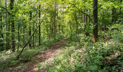 Photo #25 of HYLAND RIDGE DR, CHARLOTTESVILLE, VA 21.0 acres