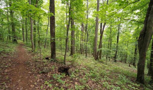 Photo #31 of HYLAND RIDGE DR, CHARLOTTESVILLE, VA 21.0 acres
