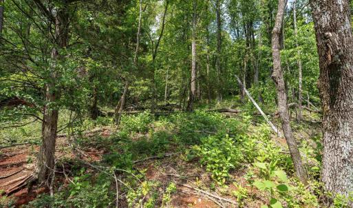 Photo #13 of HYLAND RIDGE DR, CHARLOTTESVILLE, VA 21.0 acres