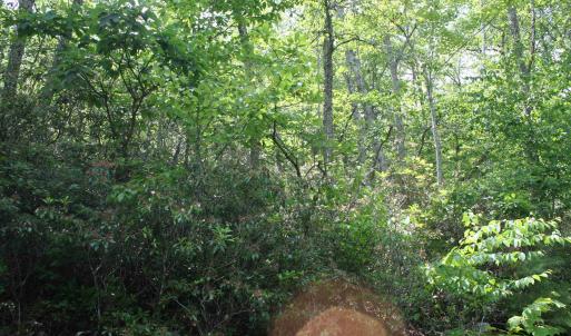 Photo #1 of 42 HIGH VALLEY SOUTH, MONTEREY, VA 5.0 acres
