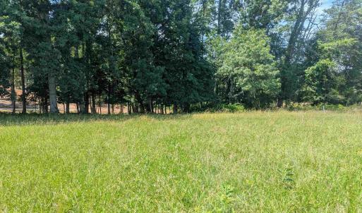 Photo #7 of Lot 7 ADVANCE MILLS RD, RUCKERSVILLE, VA 2.5 acres