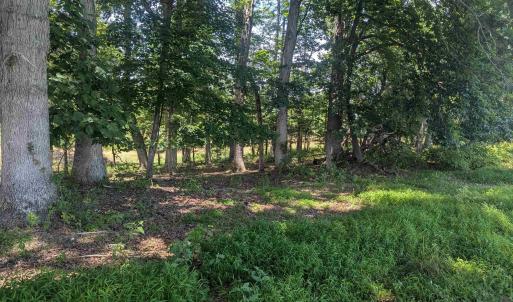 Photo #9 of Lot 7 ADVANCE MILLS RD, RUCKERSVILLE, VA 2.5 acres