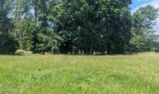 Photo #3 of Lot 7 ADVANCE MILLS RD, RUCKERSVILLE, VA 2.5 acres