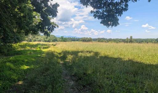 Photo #8 of Lot 7 ADVANCE MILLS RD, RUCKERSVILLE, VA 2.5 acres