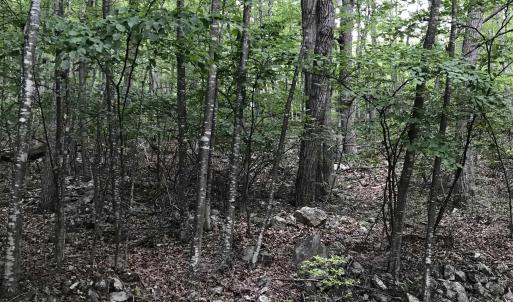 Photo #4 of 43 HIGH VALLEY SOUTH, MONTEREY, VA 5.0 acres
